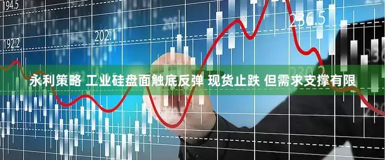 永利策略 工业硅盘面触底反弹 现货止跌 但需求支撑有限
