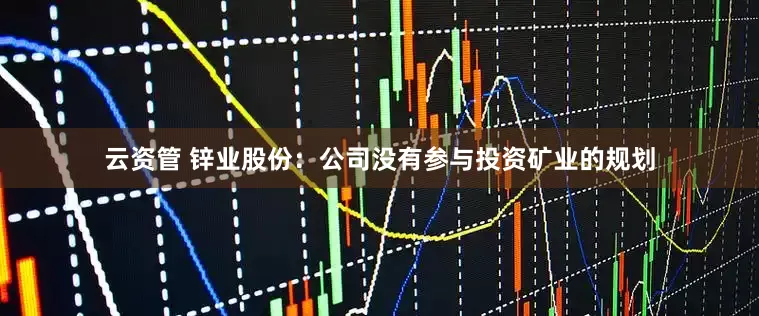 云资管 锌业股份：公司没有参与投资矿业的规划