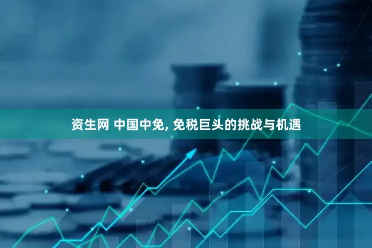 资生网 中国中免, 免税巨头的挑战与机遇