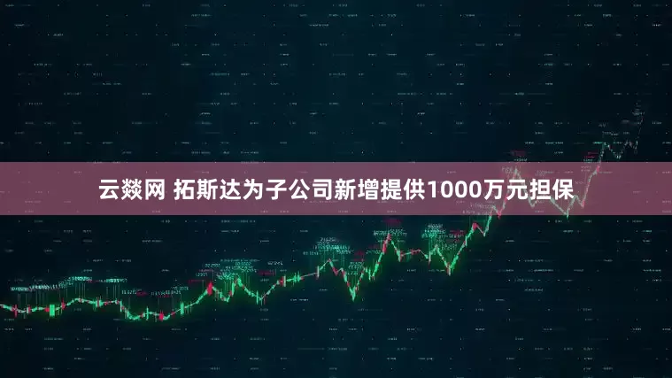 云燚网 拓斯达为子公司新增提供1000万元担保