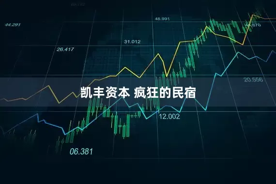 凯丰资本 疯狂的民宿